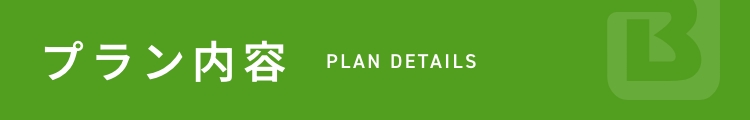 プラン内容 PLAN DETAILS